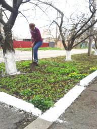 КУ «Територіальний центр соціального обслуговування (надання соціальних послуг) у Довгинцівському районі» проведено акцію з благоустрою «Чисте подвір’я»