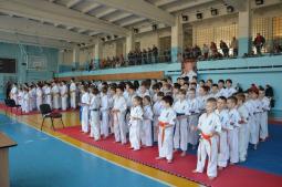7 березня 2015 року проведено відкритий чемпіонат міста з Кіокушин карате-до серед дітей та юніорів