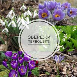 Збережемо первоцвіти!