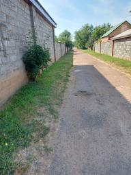 У Довгинцівському районі проводиться комплексна робота з ліквідації амброзії та інших карантинних рослин