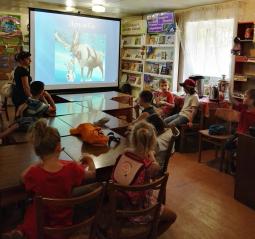 Оздоровча кампанія у закладах культури Довгинцівського району