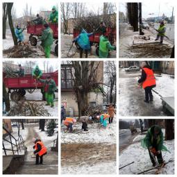 В районі триває прибирання гілок і повалених дерев після негоди