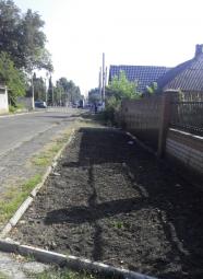 Продовжуються роботи щодо своєчасного покосу карантинних рослин у приватному секторі району