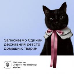 Стартує перший етап запуску Єдиного державного реєстру домашніх тварин