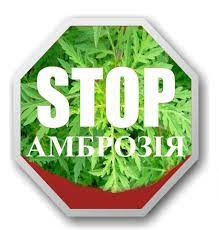 23 вересня 2021 пройшов рейд з впорядкування прибудинкової території