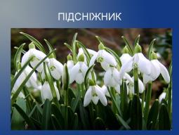 Операція «Первоцвіт-2017»