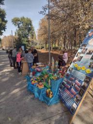 Реалізуючи соціальний проєкт «Активні парки - локації здорової України» організовано та проведено низку рухливих та спортивних ігор