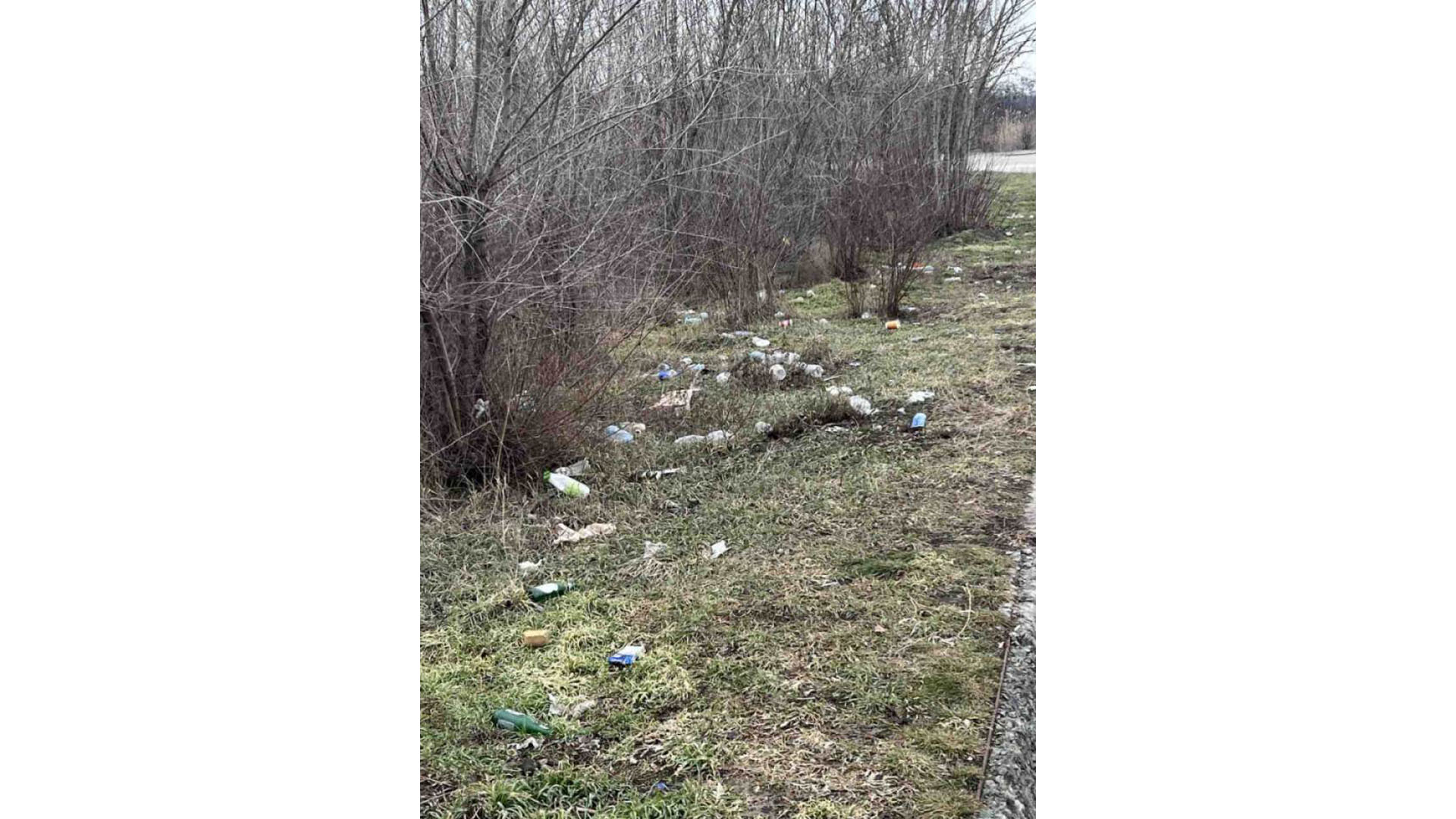 Узбіччя доріг не контейнерний майданчик!