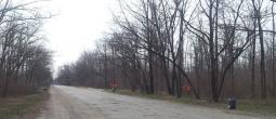 Відділом житлово-комунального господарства організовано та проведено заходи з благоустрою території району