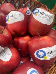 Мотивація, розвиток, спілкування, ідеї, емоції – це все спільнота EdCamp.