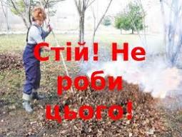Постала одна з найгостріших екологічних та соціальних проблем міста та і України в цілому – масове спалювання опалого листя, сухих гілок