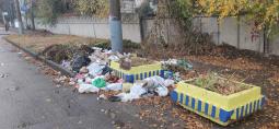 На місці постійного сміттєзвалища по вулиці Гетьмана Івана Мазепи з’явилися кущі півоній