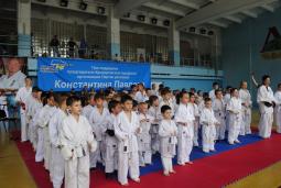 Відбулась відкрита першість Довгинцівського району з Кіокушин карате-до «Перше татамі»
