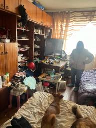 Діти вулиці