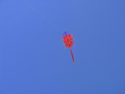 З 19 по 28 червня 2016 року проходив 15-тий ювілейний Міжнародний фестиваль повітряних зміїв «Кольорове небо-2016»