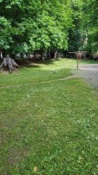 Покіс трави та карантинних рослин в районі