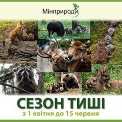 З 1 квітня по 15 червня, в період масового розмноження диких тварин, на всій території України вводять так званий «Сезон тиші»