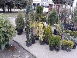 З 28 жовтня стартував виставка-ярмарок «Все для саду та городу»