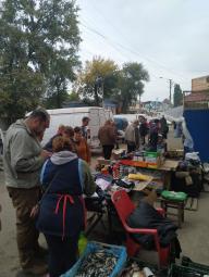 СТОП незаконній торгівлі!