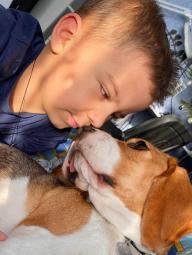 04 жовтня – Всесвітній день тварин