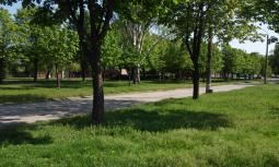 Продовжується благоустрій зелених зон