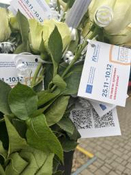 «Ми – проти насильства»