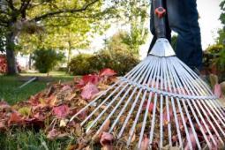 08 квітня 2017 року буде проведено загальноміську санітарну акцію «День довкілля»