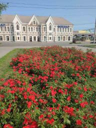 В районі щоденно проводяться заходи з благоустрою