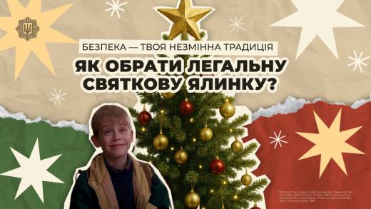 Як обрати легальну святкову ялинку?