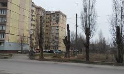05 березня 2016 року виконано обрізку п’яти дерев по вул. Телевізійна