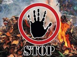 Виконком Довгинцівської районної в місті ради попереджає про заборону спалювання сухої природної рослинності