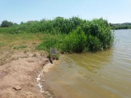 Про заборону купання в озері «Солоне»